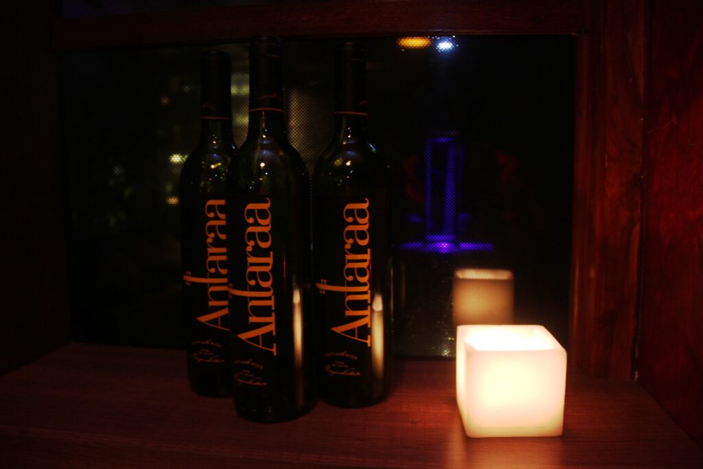 Good Earth Wine Launch Bungalow 9 Mumbai